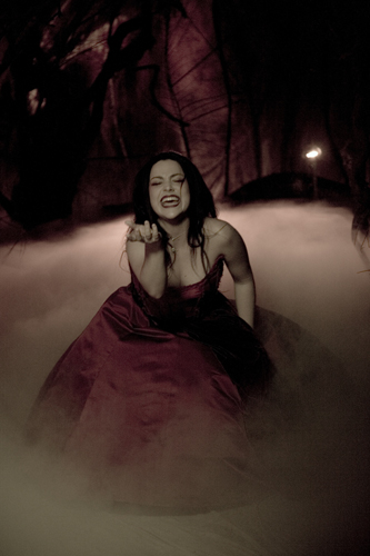 amy lee