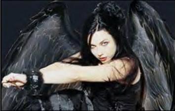 amy lee